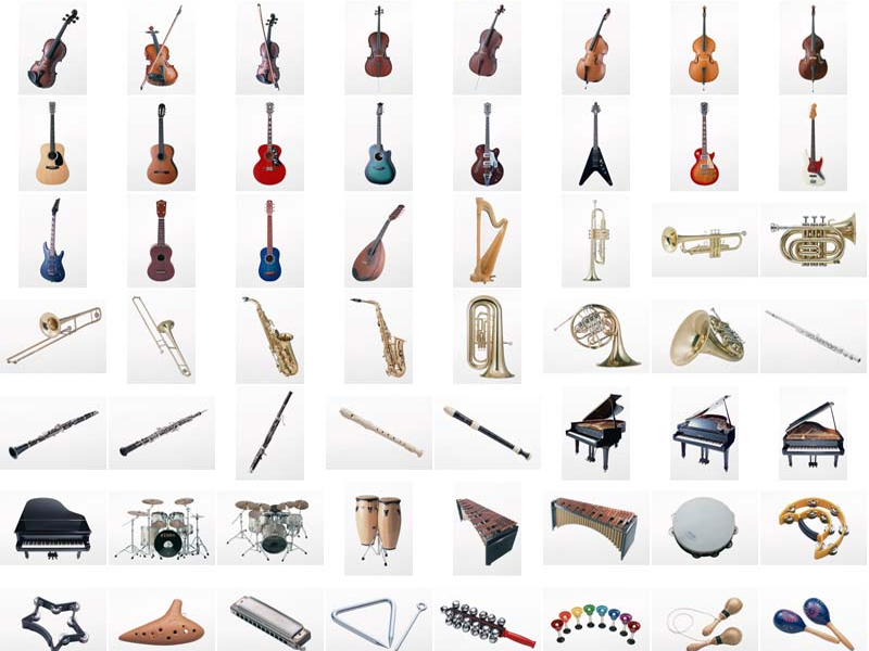 انواع آلات موسیقی