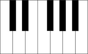 انواع کلاویه های پیانو 