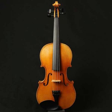 Paesold 802E 4-4 German violin