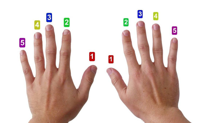 Nummerierung der Finger für einen passenden Fingersatz beim Klavier lernen
