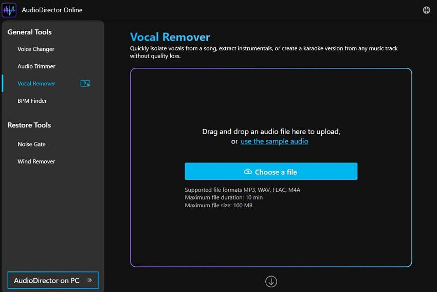 AudioDirector Interface - Upload your audio file you want to remove vocals from