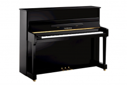 Yamaha P-116