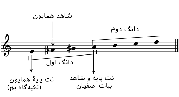 ریپورتاژ تبلیغاتی