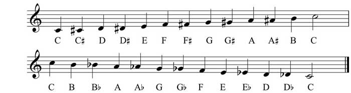 تئوری موسیقی | نت خوانی