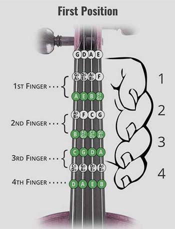 آموزش ویولن انگشت گذاری در ویولن