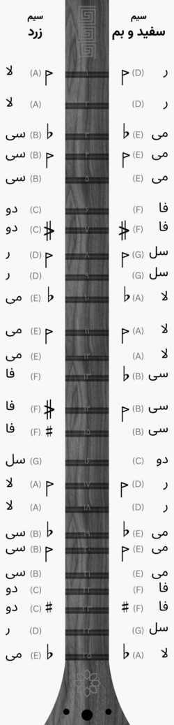پرده‌شناسی و جایگاه نت‌ها در سه تار 